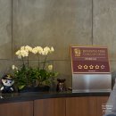 Banyan Tree Club&SPA Seoul Indoor Pool | 반얀트리 클럽 앤 스파 서울 :: 릴랙세이션 풀 프리미어 vs 스위트 비교 어매니티 인룸다이닝 룸서비스