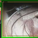 무네미낚시터 이미지