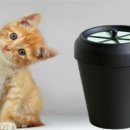 배변의기술 이미지