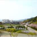 고성지 이미지