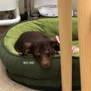 역삼-1290 | 🧾 [웨딩 네일] 포함 내 손톱은 오직 여기서만 2탄!