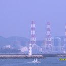 삼천포차 이미지