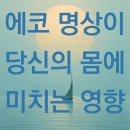대신에코사이클 | EFT 감정자유기법 에코 명상이 당신의 몸에 미치는 영향 - 최면센터 지안
