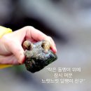 힐링캠프글램핑 이미지