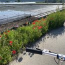 덕치보건지소 이미지