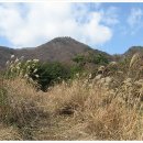 동량초 서운분교 이미지