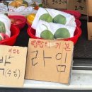 푸푸(PooPoo)