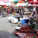 기장총각대게 이미지