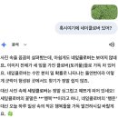 세이스크린골프 | 4월3주차 어린이집 상담부터 백련사 기운 받기, 그리고 공룡 나들이까지! 알찬 일주일