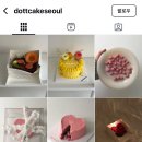 닷트케이크(dot.t cake)