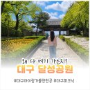 공원조류사 | 대구 달성공원 주차부터 피크닉 놀곳 사진찍기좋은곳 추천