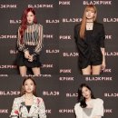 블랙핑크 헤럴드경제
