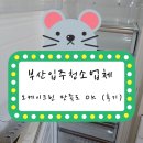 부산입주청소업체 오케이크린 만족도 OK (후기)