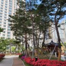 LG슈퍼렛 이미지