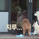 산책민박 이미지