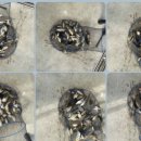 성호좌대 이미지