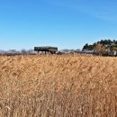 시흥 갯골생태공원 이미지