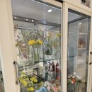 위드에이치2 이미지