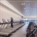 다이아짐 이미지