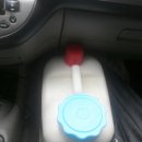 신갈수지 이미지