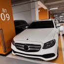 365카모터스 이미지