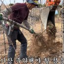 더큰나무