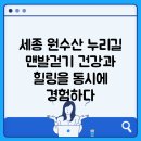 원수산 누리길 | 세종 원수산 누리길 맨발걷기, 건강과 힐링을 동시에 경험하다