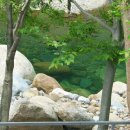 배가네민박 이미지