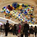 벨라지오 이미지