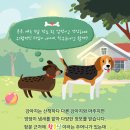 분당-279 이미지