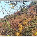 내서면 노류리 이미지