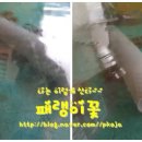 젤존대식당 이미지