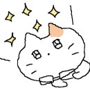 바우네이컴즈