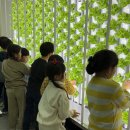 주안농장 이미지