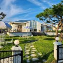 몰디브커피 이미지