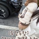 두랑 | 강아지 커플룩 추천 두랑두랑 리본 보아 후디 점퍼 트랙조거팬츠 착용 후기