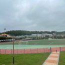 공설운동장(내) 이미지