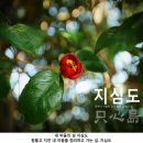 [3월] 봄이오는 소리.. 거제 "동백꽃 지심도" 이미지