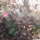 화수목 농원 이미지