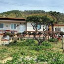 노닐다민박
