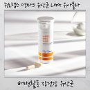 장 밸런스 잡는 뉴로랩스 덴마크 유산균 LGG 솔직 후기