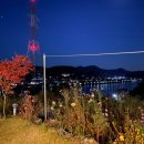수니앤팬션 네이버블로그