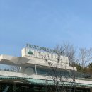 과일카페 190 | 부산 해운대 달맞이길 숲속카페 🌿 프루터리포레스트 방문 후기 (반려견 동반 가능