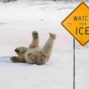 분당구보건소 건강증진센터 이미지