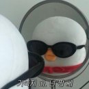 양이야기 | [코바늘] 바늘이야기 양세마리 라벨 파우치 후기🐑