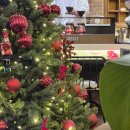 러셀커피 | [수성구 카페] 러셀커피