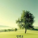 임마누엘 Daum카페