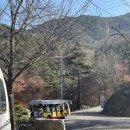 [충남 금산] 한마음심천캠핑랜드 (2캠핑장 A24사이트) / 대전근교 가을 단풍 캠핑장