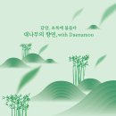 초록에 물든다 담양 대나무 축제 5월 2일 개막