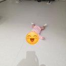 플로리안(2) | <내돈내산> 플로리안 시공 매트 리얼후기